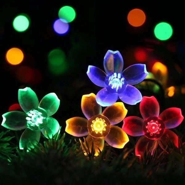 DAISYGLOW